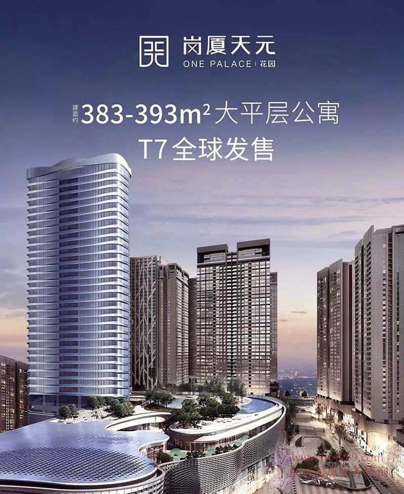 深圳天元中心、One Palace T7共52套,每套5000万以上,这意味着每套公寓背后站着的都是10亿、100亿甚至1000亿身价的顶尖财富阶层